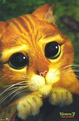 puss.jpg